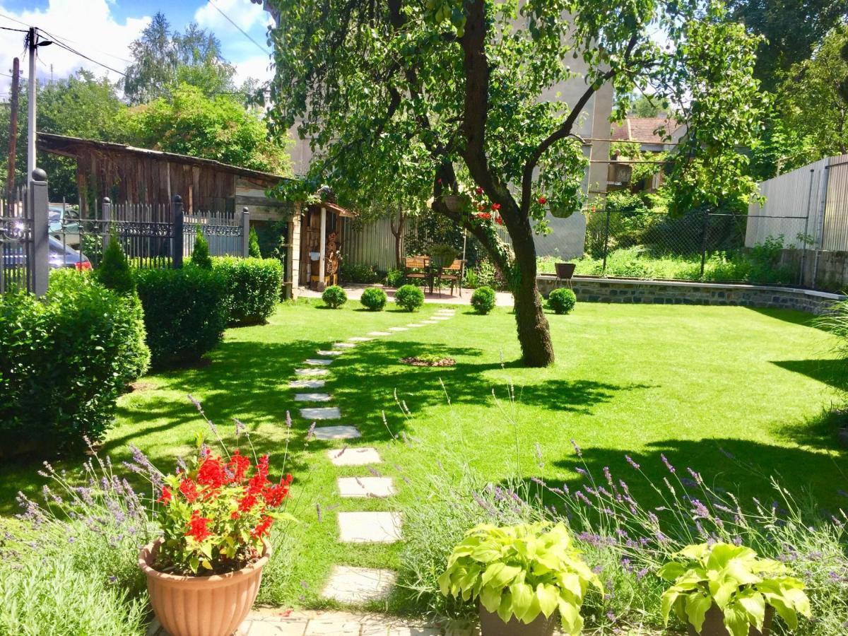 Provence Apartment *