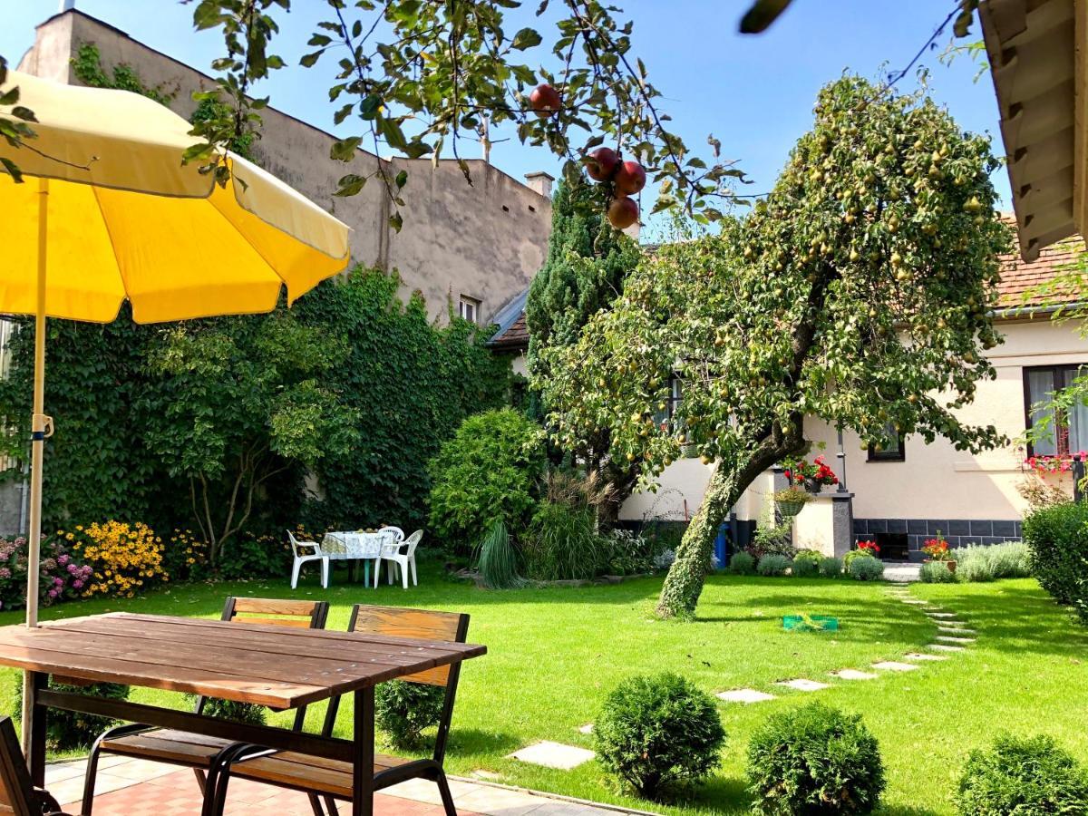 Provence Uzhhorod
