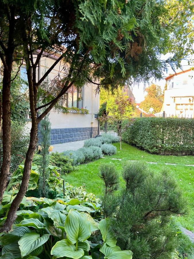 Provence Apartment Uzhhorod