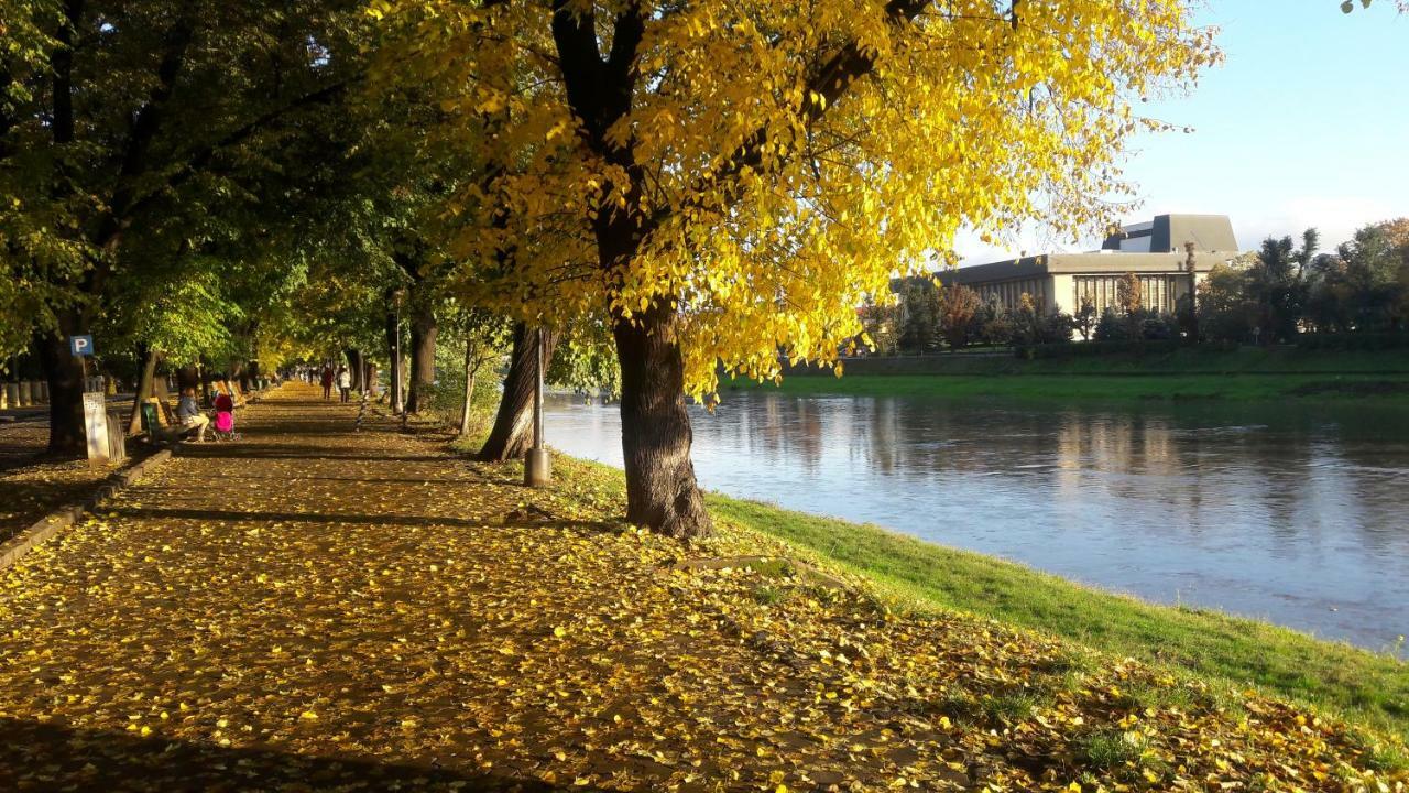 Apartment Provence Uzhhorod